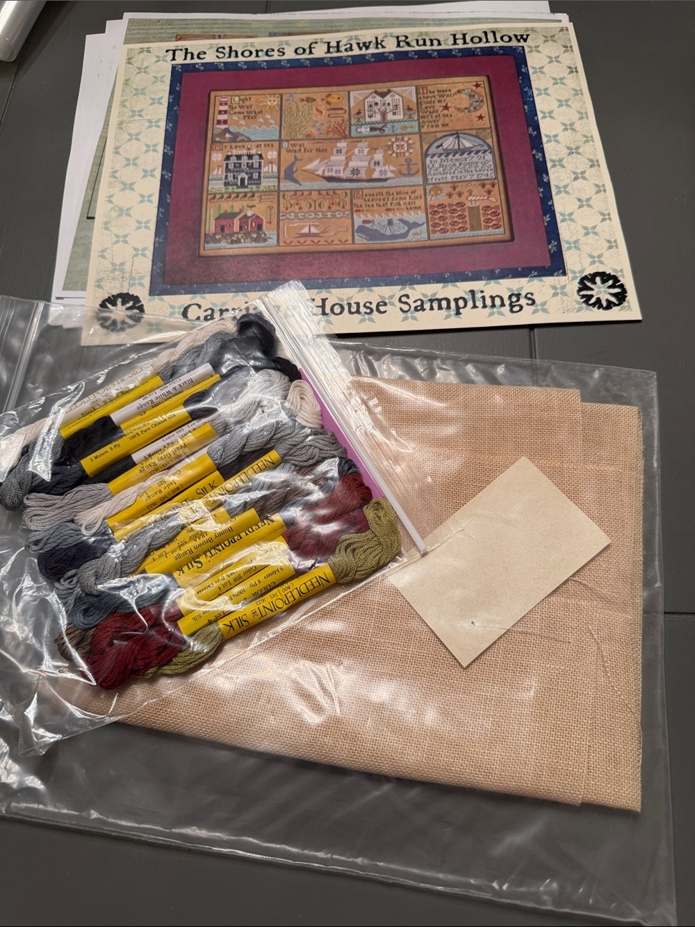 “The Shores of Hawk Run Hollow" by Carriage House Samplings KIT needlepoint  🐈‍⬛